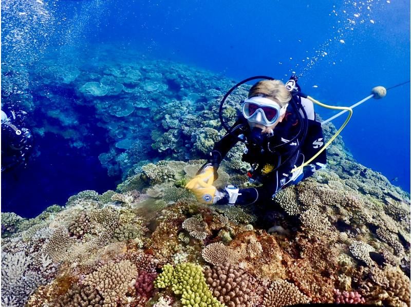 万座2ボートファンダイビング【沖縄・恩納村】《送迎 可能》※送迎範囲あり★GoPro撮影データ無料プレゼントの紹介画像