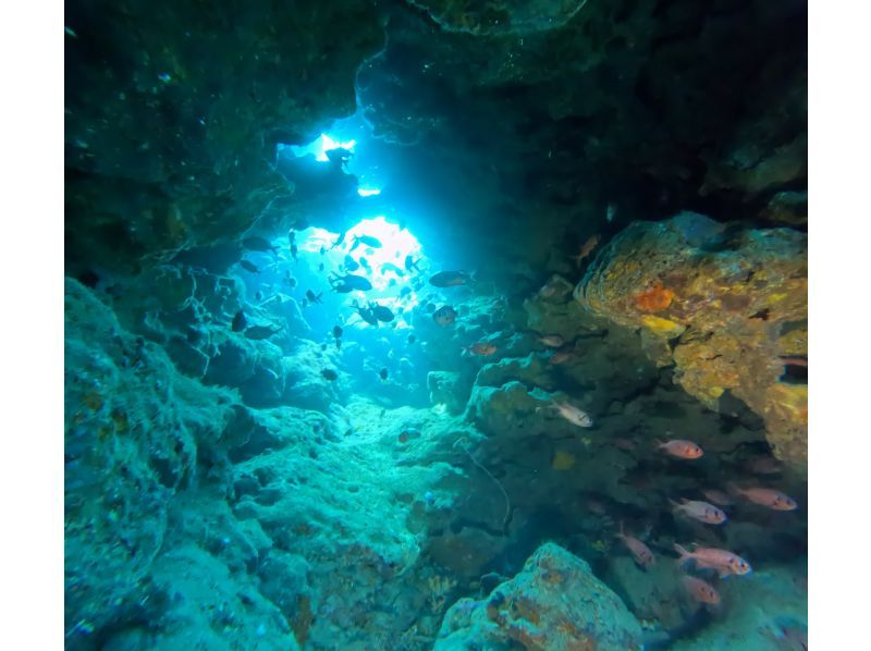 万座2ボートファンダイビング【沖縄・恩納村】《送迎 可能》※送迎範囲あり★GoPro撮影データ無料プレゼントの紹介画像