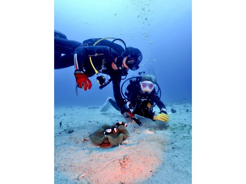 万座2ボートファンダイビング【沖縄・恩納村】《送迎 可能》※送迎範囲あり★GoPro撮影データ無料プレゼントの紹介画像