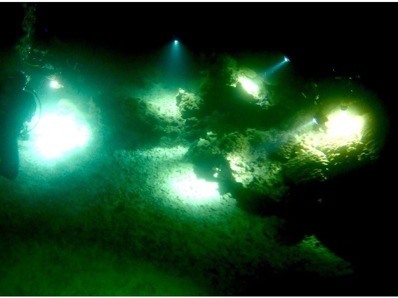 サンセット&ナイトダイビング【沖縄 恩納村】《送迎 可能》※送迎範囲あり★GoPro撮影データ無料プレゼントの紹介画像