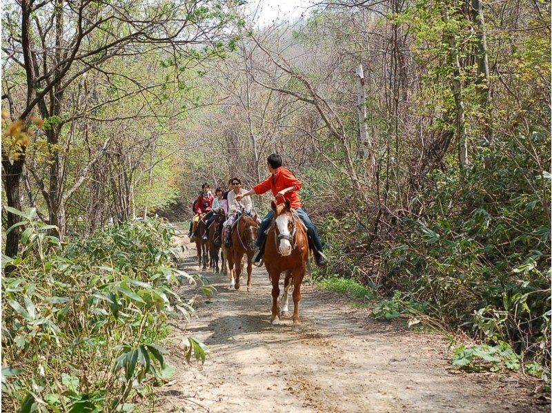 [Hokkaido/Hakkenzan (Sapporo)] Let's ride wild horses in the cowboy town "Wild Mustangs"! Horseback riding experience with transportation (50 minutes)の紹介画像