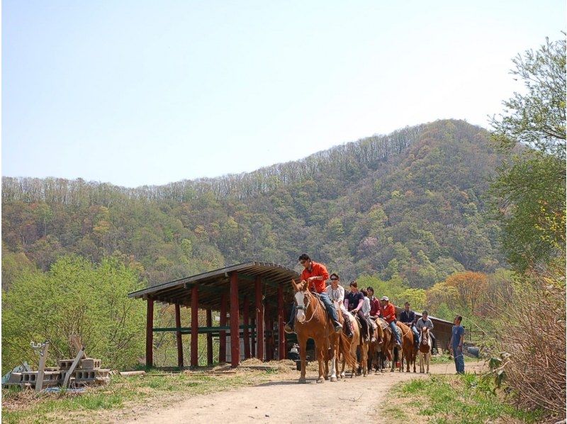[Hokkaido/Hakkenzan (Sapporo)] Let's ride wild horses in the cowboy town "Wild Mustangs"! Horseback riding experience with shuttle vehicle (80 minutes)の紹介画像