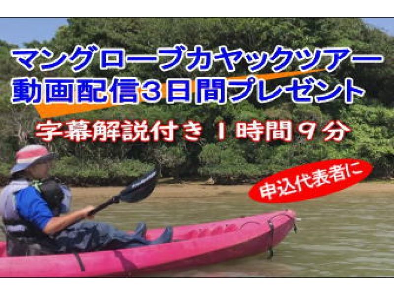 【沖縄・今帰仁】モーニングカヤック 3才もカヤックを降りて湧き水へ  2時間コースの紹介画像