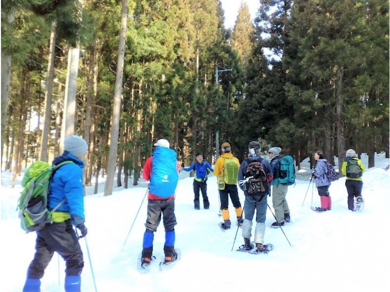 【秋田・白神山地】白神スノートレッキング・手軽に半日/初心者向けの紹介画像