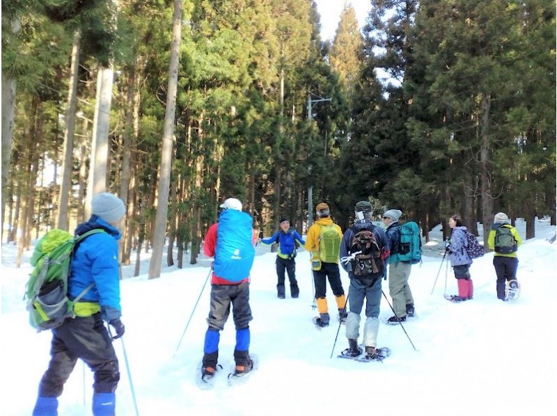 [Akita/Shirakami-Sanchi] Spring sale campaign underway! Shirakami Snow Trekking★Coffee and roasted marshmallow experience includedの紹介画像
