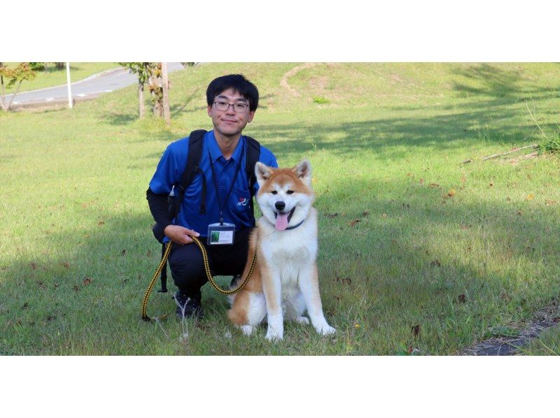 【秋田県・三種町】可愛い秋田犬と一緒に散歩！ 秋田犬と散歩&健康ウオーキング！の紹介画像