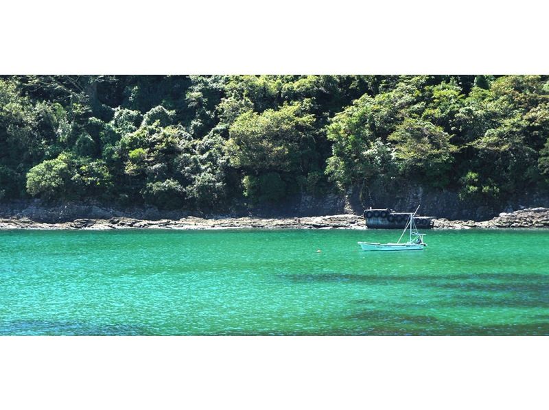 [Shizuoka, Shimoda/Oura Beach] 90-minute SUP experience & snorkeling with instructor guide!の紹介画像