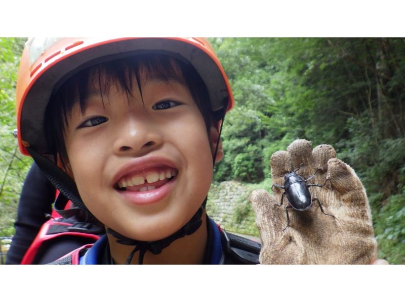 [Ehime Namerayuka valley] canyoning tour family morning / afternoon course [slider lots]の紹介画像