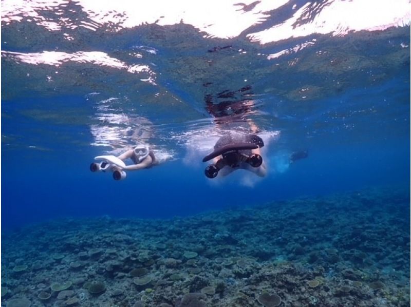 [SUP/snorkel at resort beach] [Snorkel] [Clear SUP] Churaumi Snorkeling + SUP set tourの紹介画像