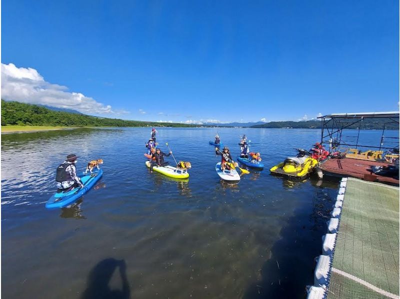 Mt. Fuji / Lake Yamanaka] SUP experience at Lake Yamanaka <180