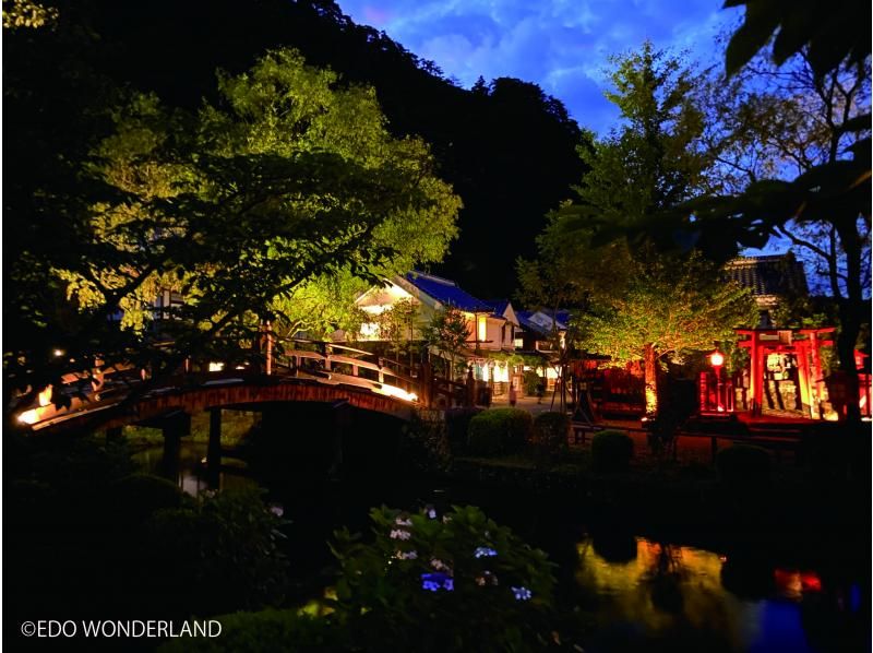 [Nikko] August 13 only! Fireworks that color the night sky of Nikko Edomura, courtesan courtesan tour, Nikko Toshogu Shrine English-guided bus tourの紹介画像