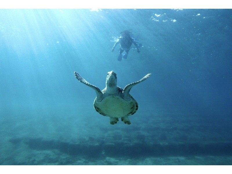 ★沖縄・宮古島・ウミガメやカラフルなお魚が沢山な大人気わいわいビーチシュノーケリング★写真データ無料★女性・カップル・家族におすすめ！の紹介画像