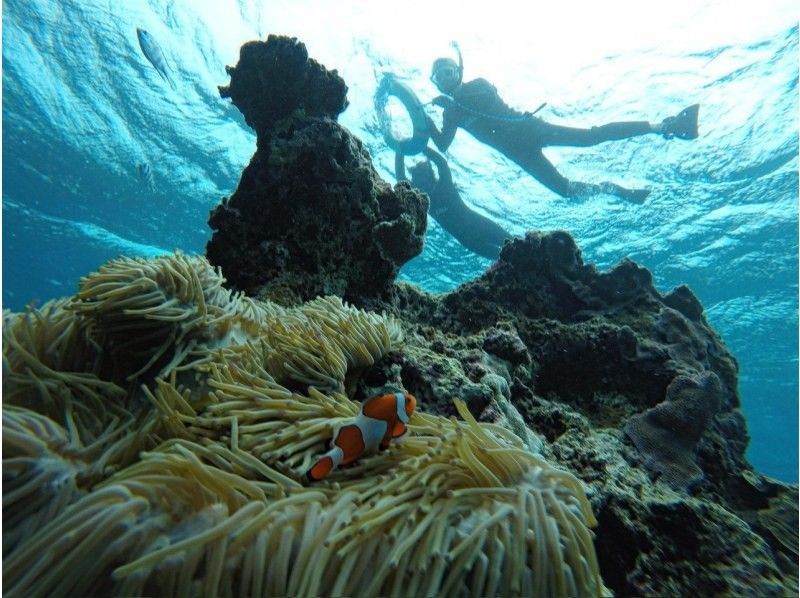 ★沖縄・宮古島・ウミガメやカラフルなお魚が沢山な大人気わいわいビーチシュノーケリング★写真データ無料★女性・カップル・家族におすすめ！の紹介画像