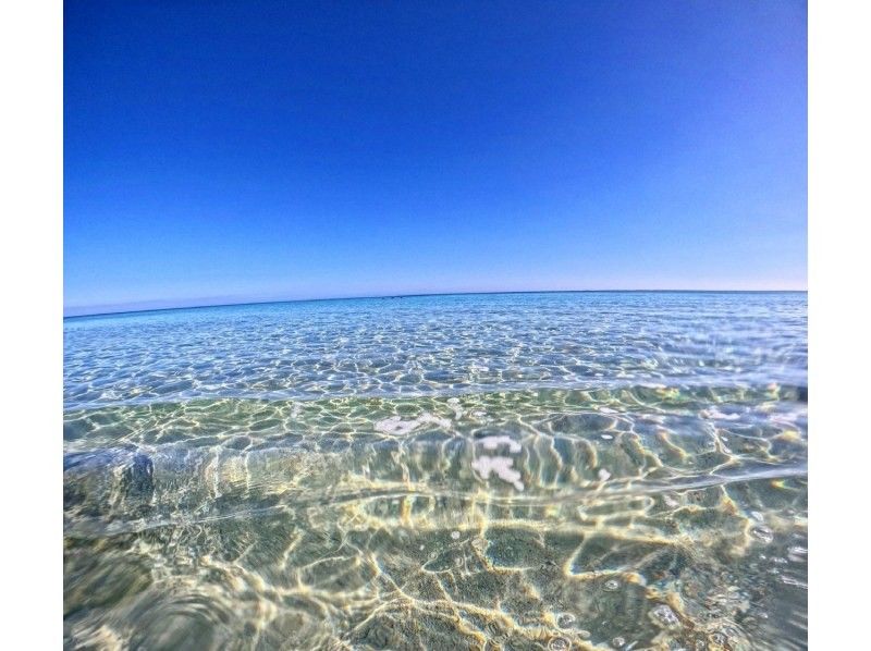 ★沖縄・宮古島・ウミガメやカラフルなお魚が沢山な大人気わいわいビーチシュノーケリング★写真データ無料★女性・カップル・家族におすすめ！の紹介画像