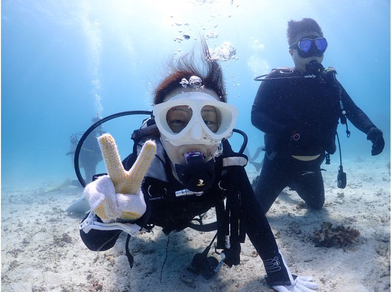 【沖縄・石垣島】2,5h 体験ダイビングでカラフルなお魚を見に行こう！　の紹介画像