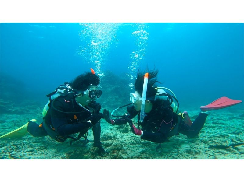 【沖縄・石垣島】2,5h 体験ダイビングでカラフルなお魚を見に行こう！　の紹介画像