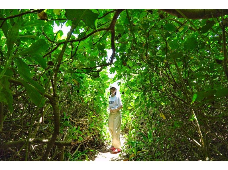 お得に石垣島をたっぷり♪川平湾～秘密のビーチに感動スポットまで！どどどーんと詰め込んだグレードアップ満喫プラン♪アドベンチャーフォトツアー！の紹介画像