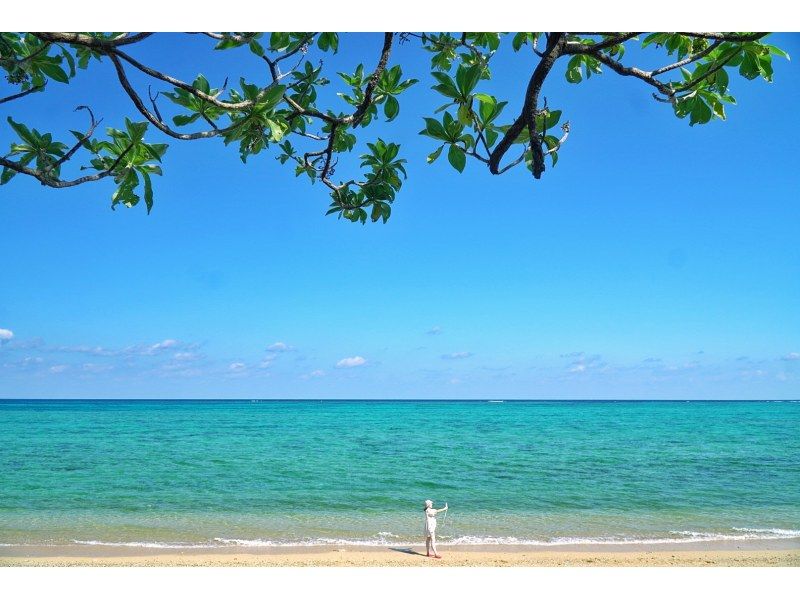 お得に石垣島をたっぷり♪川平湾～秘密のビーチに感動スポットまで！どどどーんと詰め込んだグレードアップ満喫プラン♪アドベンチャーフォトツアー！の紹介画像