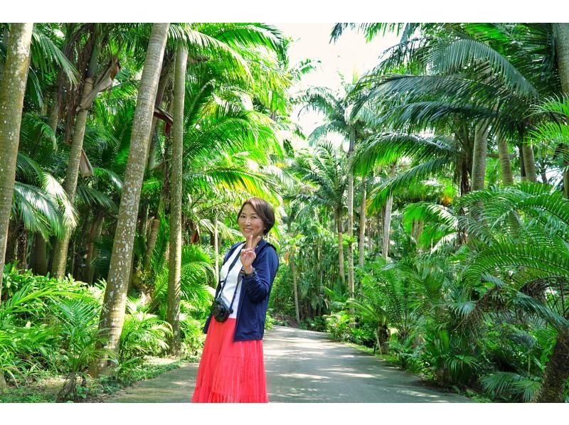 お得に石垣島をたっぷり♪川平湾～秘密のビーチに感動スポットまで！どどどーんと詰め込んだグレードアップ満喫プラン♪アドベンチャーフォトツアー！の紹介画像
