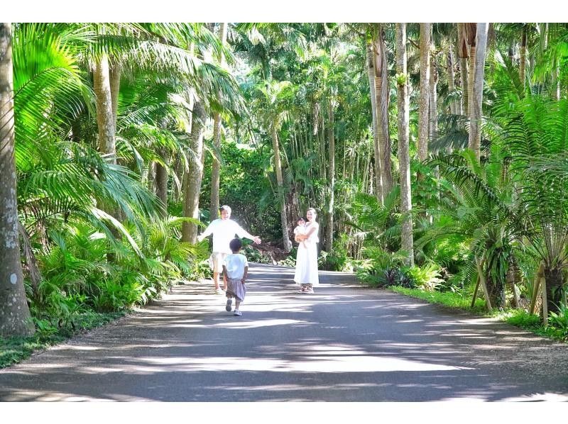お得に石垣島をたっぷり♪川平湾～秘密のビーチに感動スポットまで！どどどーんと詰め込んだグレードアップ満喫プラン♪アドベンチャーフォトツアー！の紹介画像
