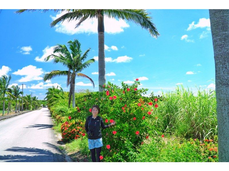 お得に石垣島をたっぷり♪川平湾～秘密のビーチに感動スポットまで！どどどーんと詰め込んだグレードアップ満喫プラン♪アドベンチャーフォトツアー！の紹介画像