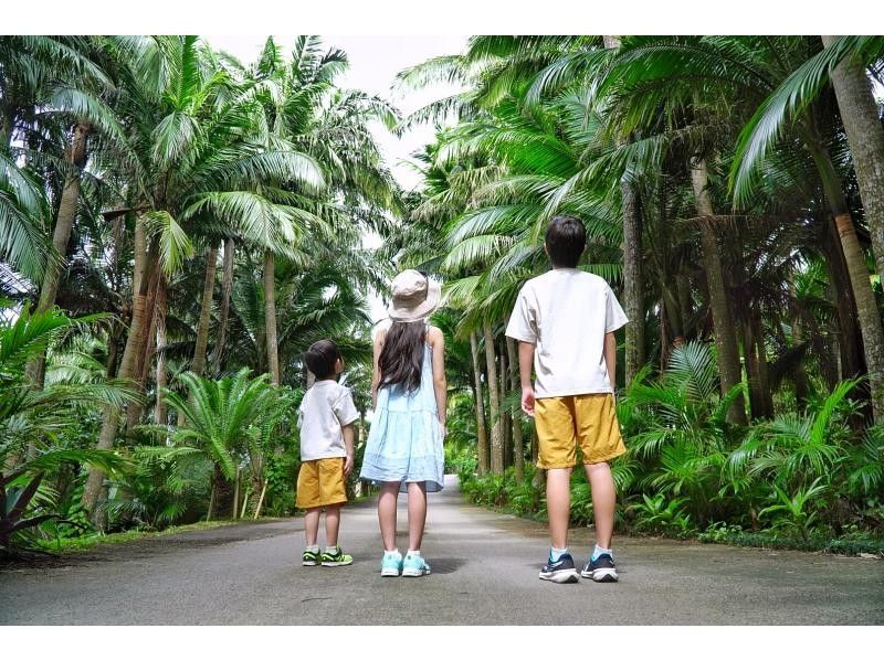お得に石垣島をたっぷり♪川平湾～秘密のビーチに感動スポットまで！どどどーんと詰め込んだグレードアップ満喫プラン♪アドベンチャーフォトツアー！の紹介画像