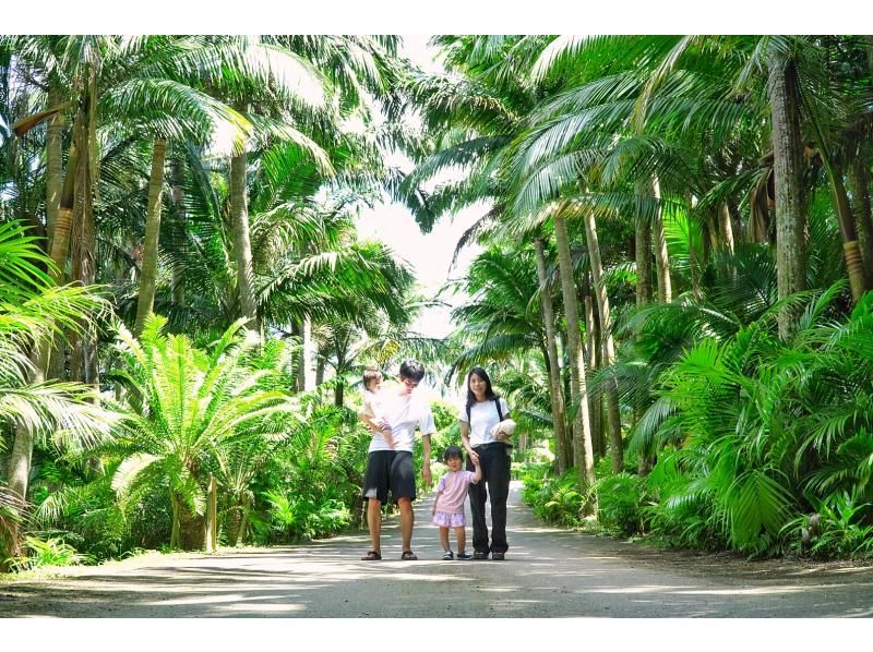 お得に石垣島をたっぷり♪川平湾～秘密のビーチに感動スポットまで！どどどーんと詰め込んだグレードアップ満喫プラン♪アドベンチャーフォトツアー！の紹介画像