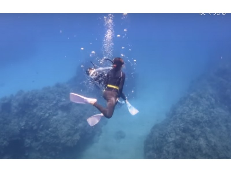 【沖縄】慶良間諸島スキンダイビング日帰り一日プランの紹介画像