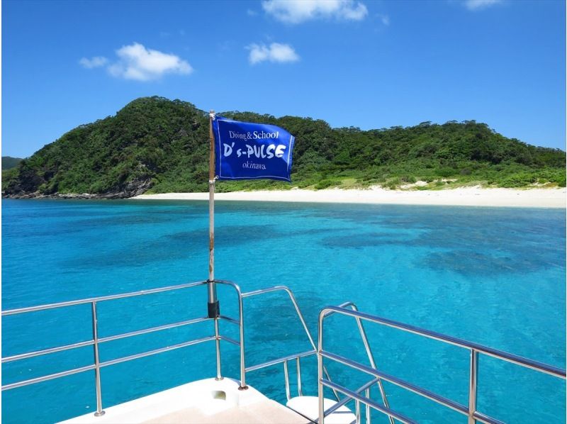 【沖縄】慶良間諸島スキンダイビング日帰り一日プランの紹介画像