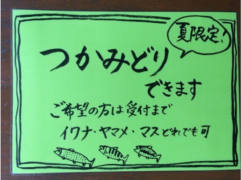 【栃木县日光市】溪流中的红点鲑、山豆、虹鳟鱼！ （仅限夏季）の紹介画像