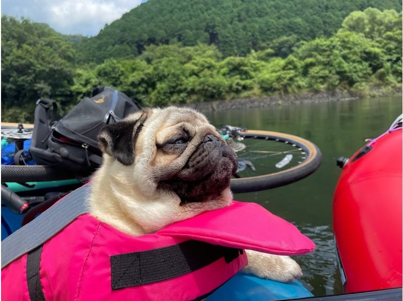 [Kochi/Shimanto] [Charter] Go down the river with a packraft with your dog!の紹介画像