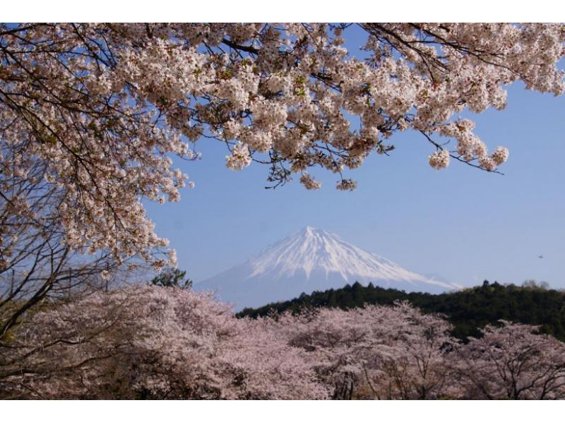 【山梨・西湖・精進湖・河口湖】秋の季節の移り変わりを感じて爽やかサイクリング！e-Bike体験ツアー！！ 写真データ無料です♪の紹介画像