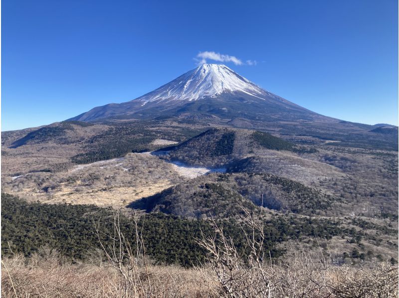 【山梨・鳴沢村・富士河口湖町】富士山周辺の魅力をご案内♪　登山・トレッキングツアー！！の紹介画像
