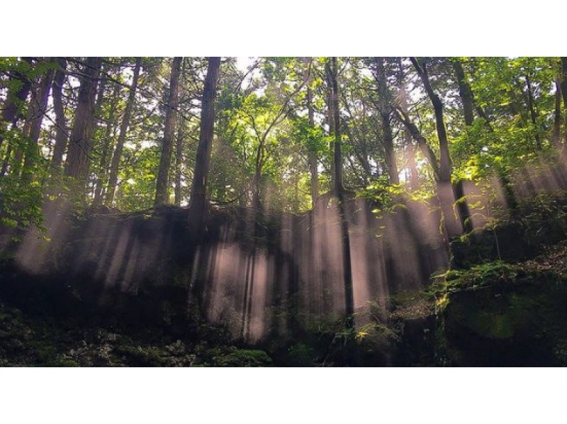 【山梨・鳴沢村・富士河口湖町】富士山周辺の魅力をご案内♪　登山・トレッキングツアー！！の紹介画像