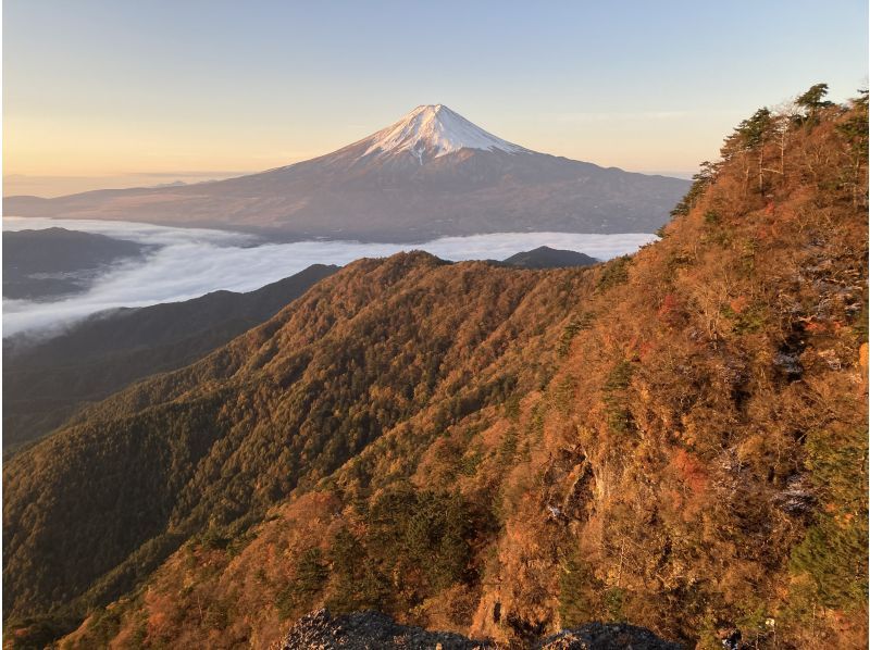 【山梨・鳴沢村・富士河口湖町】富士山周辺の魅力をご案内♪　登山・トレッキングツアー！！の紹介画像