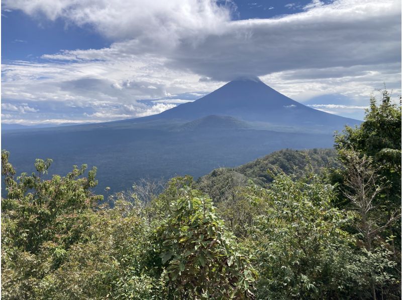 【山梨・鳴沢村・富士河口湖町】富士山周辺の魅力をご案内♪　登山・トレッキングツアー！！の紹介画像
