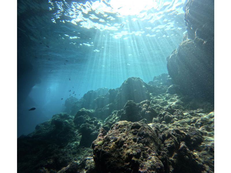 【沖縄・読谷村】《送迎可能》ジンベイザメと会う＆青の洞窟を冒険する２ボートファンダイビング！※送迎範囲ありの紹介画像