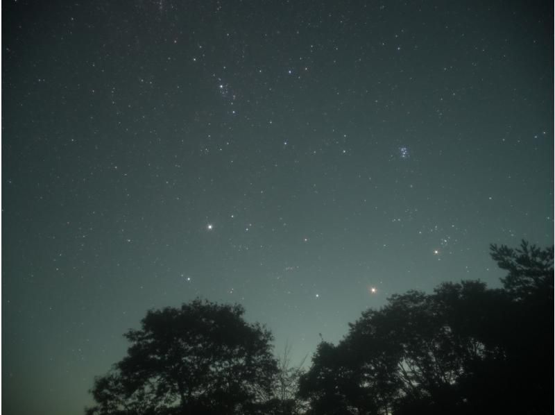 【山梨・西湖・精進湖】富士山麓でドキドキワクワク ♪ 星空と自然体験☆ナイトトレッキングツアー☆の紹介画像