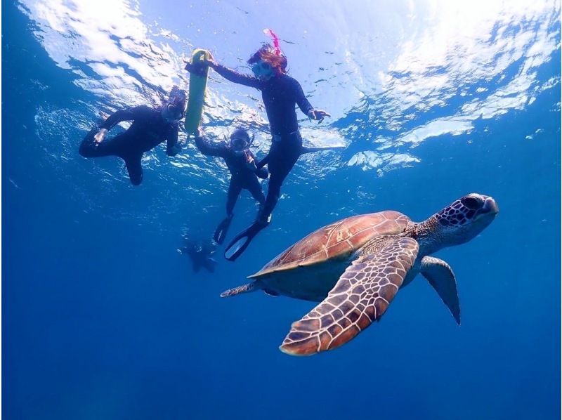 [石垣岛/1天]登陆幻影岛＆体验潜水＆海龟浮潜☆免费GoPro租借☆の紹介画像