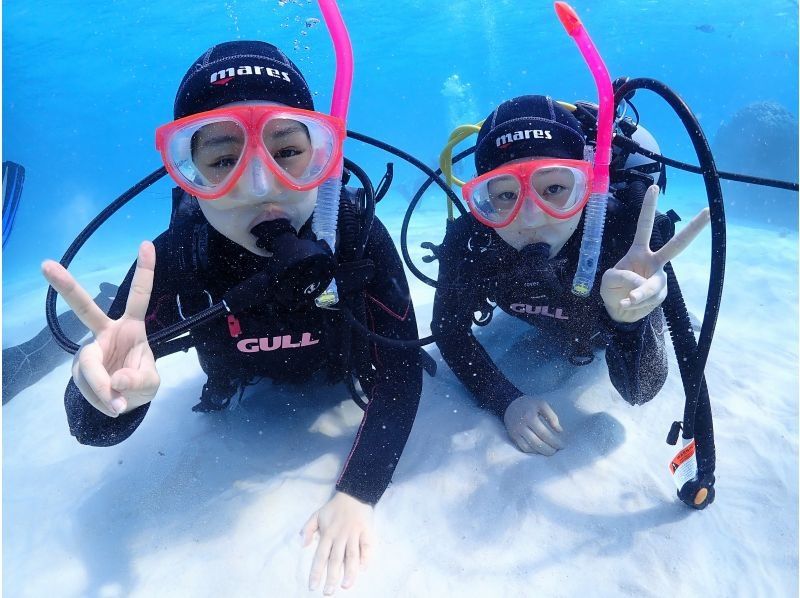 [石垣岛/1天]登陆幻影岛＆体验潜水＆海龟浮潜☆免费GoPro租借☆の紹介画像