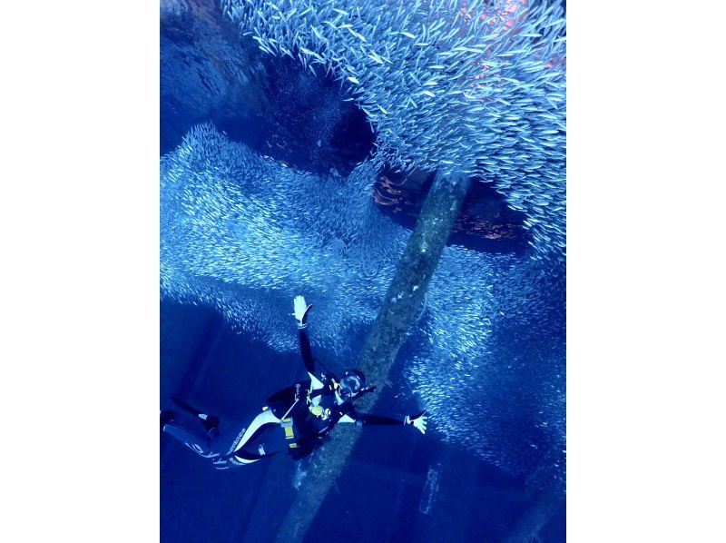 ゴリラチョップ2ビーチファンダイビング【沖縄・本部町】《送迎 可能》※送迎範囲あり★GoPro撮影データ無料プレゼントの紹介画像