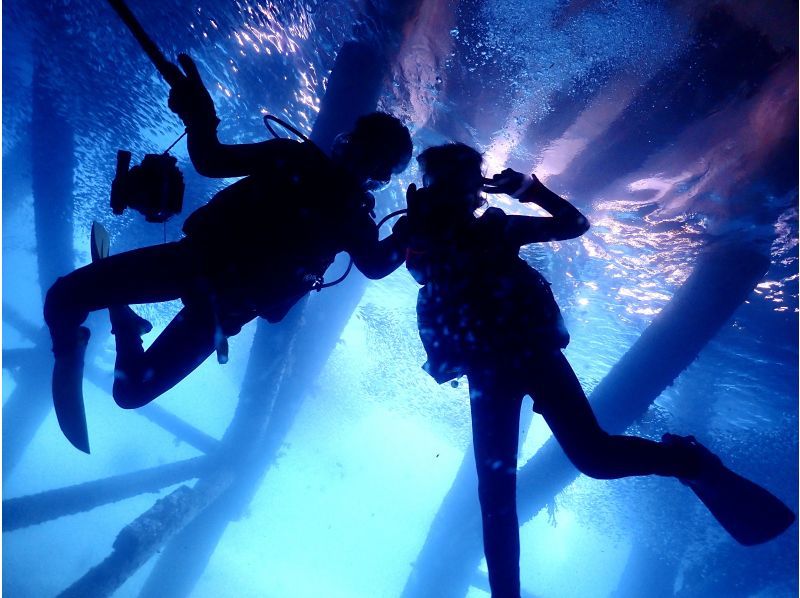 ゴリラチョップ2ビーチファンダイビング【沖縄・本部町】《送迎 可能》※送迎範囲あり★GoPro撮影データ無料プレゼントの紹介画像