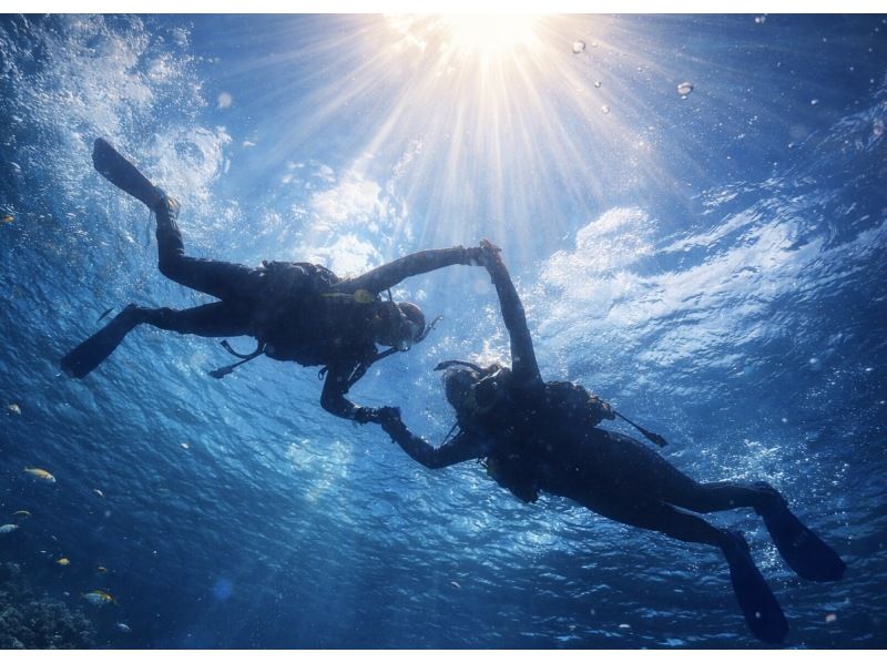 ゴリラチョップ2ビーチファンダイビング【沖縄・本部町】《送迎 可能》※送迎範囲あり★GoPro撮影データ無料プレゼントの紹介画像