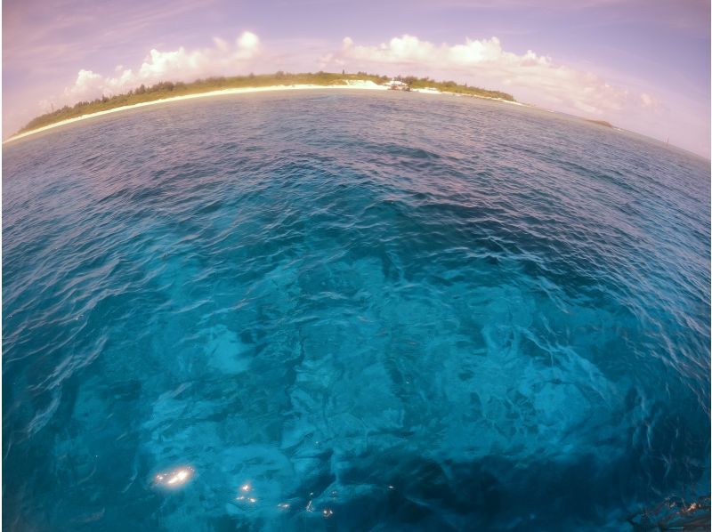 水納島／瀬底島方面 体験ダイビング【沖縄 北部】《送迎 可能》※送迎範囲あり★GoPro撮影データ無料プレゼントの紹介画像