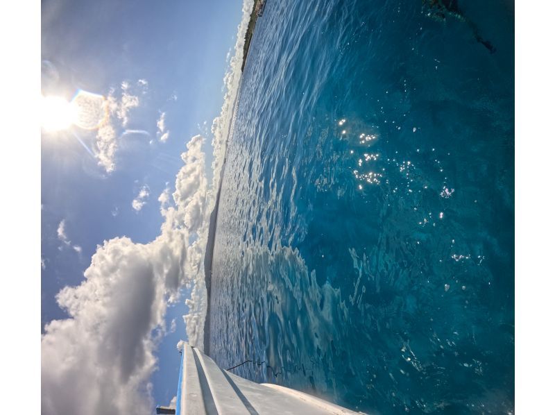 水納島／瀬底島方面 体験ダイビング【沖縄 北部】《送迎 可能》※送迎範囲あり★GoPro撮影データ無料プレゼントの紹介画像