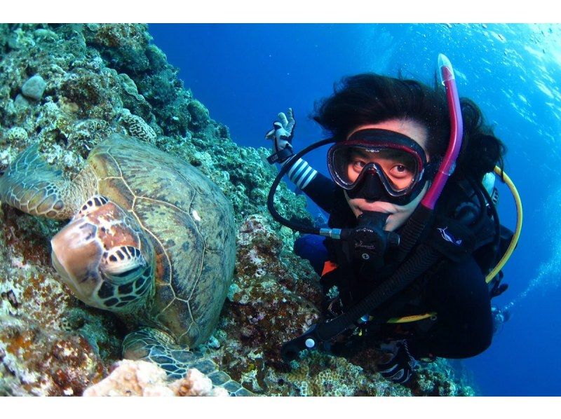 水納島／瀬底島方面 体験ダイビング【沖縄 北部】《送迎 可能》※送迎範囲あり★GoPro撮影データ無料プレゼントの紹介画像