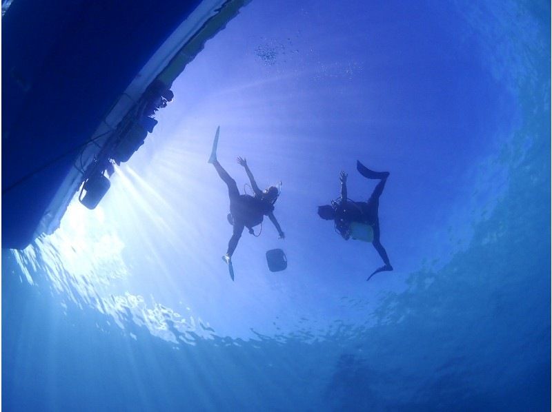[Ishigaki Island/Half-day PM] Beginners only! Trial diving & sea turtle snorkeling ☆ Free photo data ☆の紹介画像