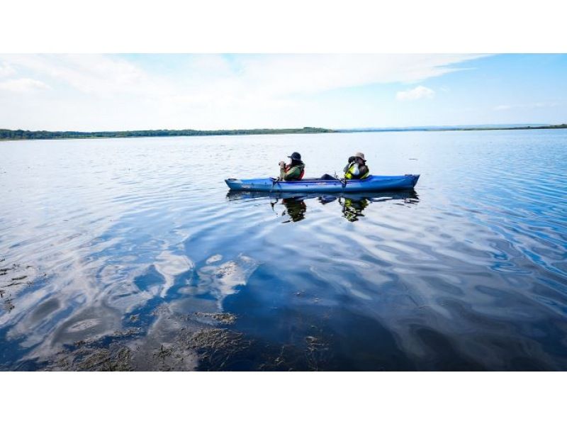 【期間限定】ラムサール条約登録湿地・濤沸湖をカヤックで水上からめぐるエコツアーの紹介画像