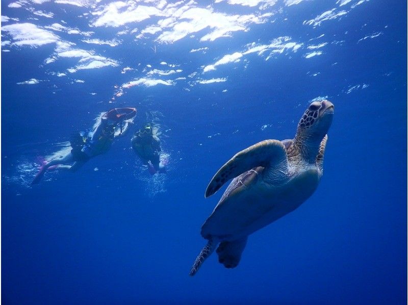 [Taketomi Island/Ishigaki Island/about 3 hours] Half-day snorkel tour! You might see sea turtles and manta rays! You can also go to remote islands and uninhabited islands!の紹介画像