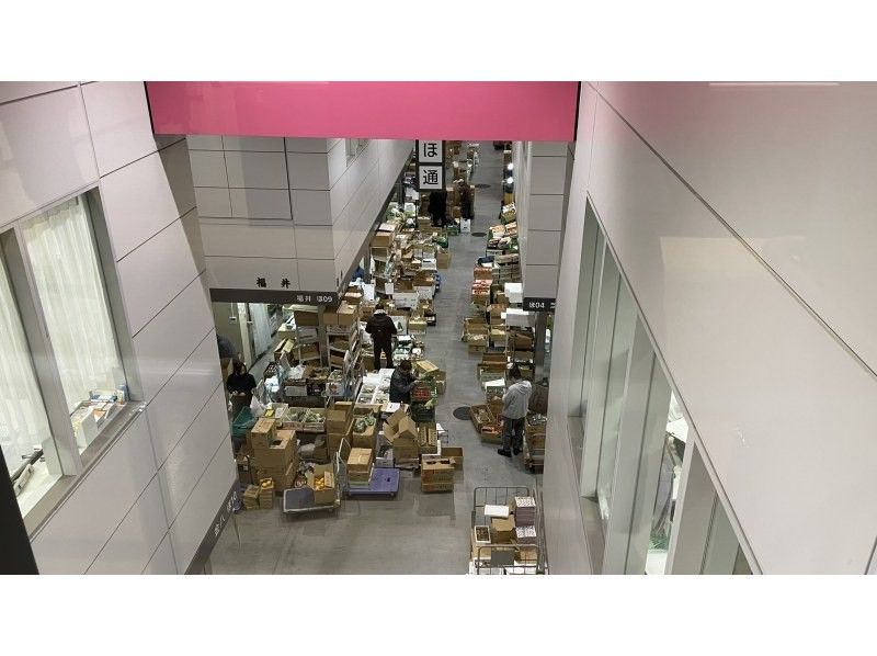 【東京・豊洲市場】豊洲市場見学ツアー 全街区まるわかりコースの紹介画像